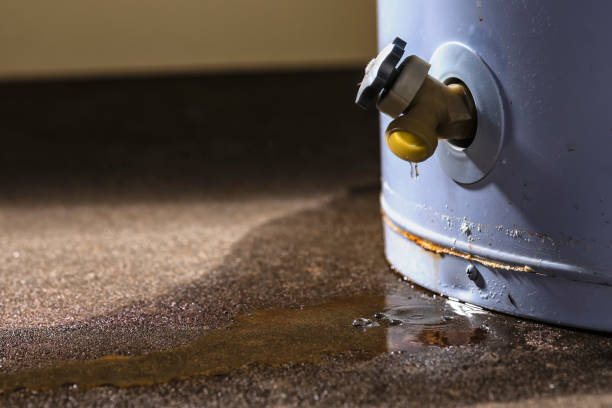 Best Water damage restoration near me  in Orange City, IA