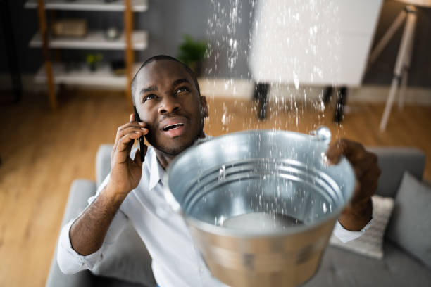 Best Water damage restoration near me  in Orange City, IA