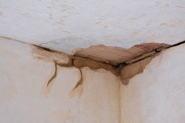 Best Basement water damage restoration  in Orange City, IA