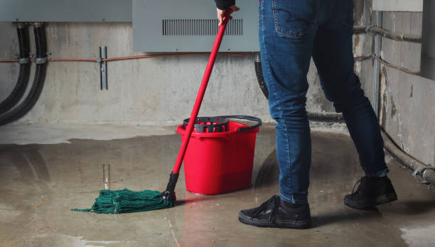 Best Carpet water damage restoration  in Orange City, IA