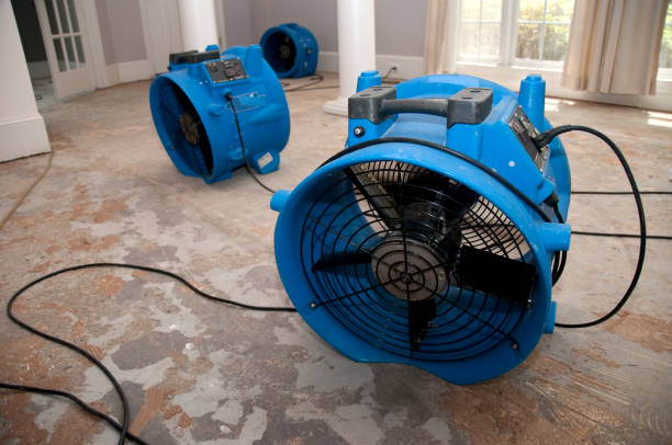 Best Water damage restoration near me  in Orange City, IA