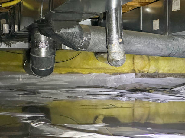 Best Professional water damage repair  in Orange City, IA