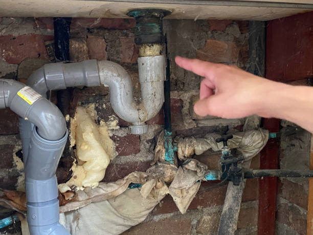 Best Water damage restoration near me  in Orange City, IA