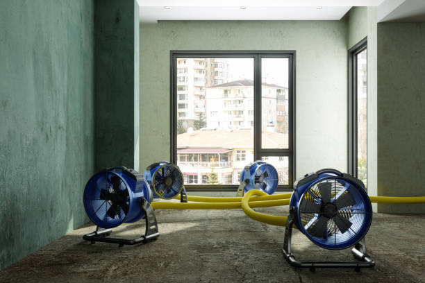 Best Water damage repair service  in Orange City, IA