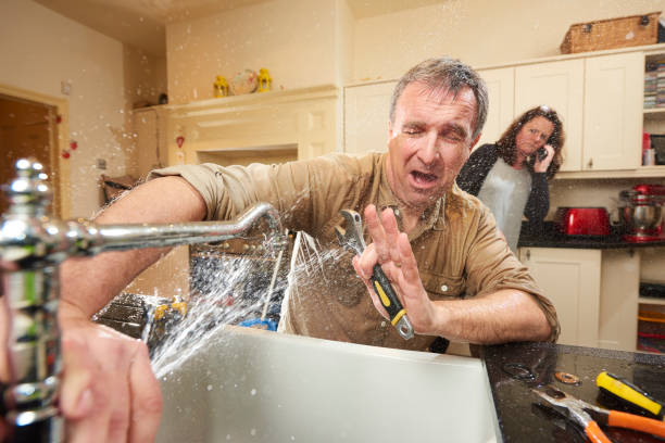 Best Basement water damage restoration  in Orange City, IA